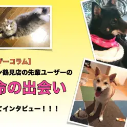 【 ユーザーコラム 】鶴見店の先輩ユーザーに運命の出会いについてインタビュー!