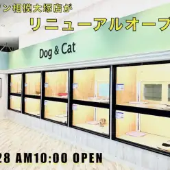 【 店舗紹介 】6周年を迎えた相模大塚店が生まれ変わってリニューアルオープン！