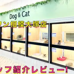 【 店舗紹介 】相模大塚店のスタッフをご紹介♪ペットとの馴れ初めもお話！