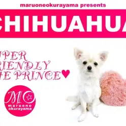 【 チワワ 】性格良好！誰とでもフレンドリーに成長中の眠れる大倉山店の王子！