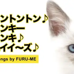【 トンキニーズ 】シャムの進化系!遊ぶの大好き!甘えん坊ねこちゃん!