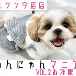 【 わんにゃんマニア 】初めてのお洋服！メリットと選び方を専門スタッフが解説！