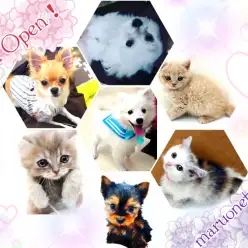 【 OPEN 】2月27日(土) マルワン高井戸店リニューアルオープンです！