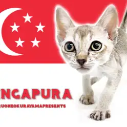 【 シンガプーラ 】超絶甘えん坊！世界最小猫種はおしゃべりがお好き！