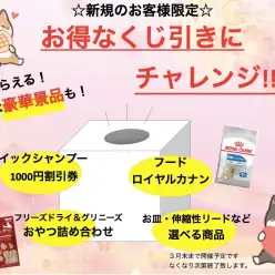 【 元町トリミング 】豪華景品が狙える！新規お客様限定くじ引きキャンペーン開催！