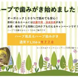 【 元町トリミングサロン 】今だけお試し価格！ハーブの歯みがきで口臭改善！