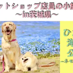 【 ペットショップ店員の小旅行 】おすすめWANスポットをご紹介！in茨城県