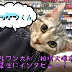 【 卒業生インタビュー 】成約者様限定のアフターサポートとは？マッケンくんに密着