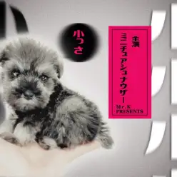 【 ミニチュアシュナウザー 】短足系小さめ男子のソルト&ペッパーがやってきた!