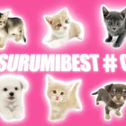 【 鶴見店BEST＃05 】7/2版わんにゃん最新情報！「おトイレ編」PART1