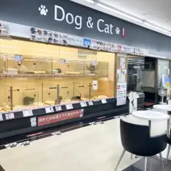 【 店舗紹介 】マルワン横浜 港北NT店はこんなお店