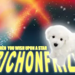 【 ビションフリーゼ 】あなたの色に染まりたい純白の綿あめBOY!