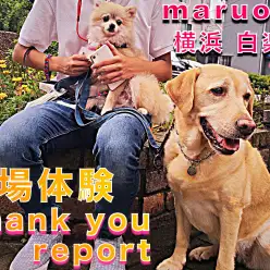 【 職場体験レポート 】地域の学校の生徒さんが職場体験に来てくれました！