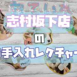 【 志村坂下サポート 】お手入れカリキュラムで充実したペットライフを！