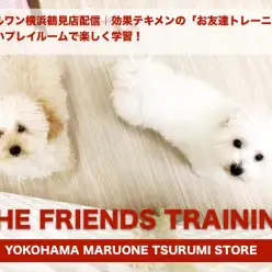 【 お友達トレーニング 】まるで兄弟のように成長する魔法のトレーニング！