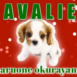 【 キャバリア 】尻尾ブンブン愛嬌たっぷり！最強のクリスマスカラーガール