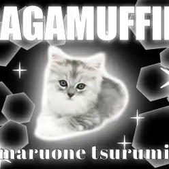 【 ラガマフィン 】鮮やかなシルバーの被毛を纏ったイケニャン降臨!