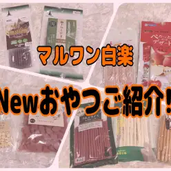 【 商品紹介 】効果的で健康的がトレンド！白楽店から新入荷のおやつをご紹介！