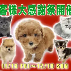 【 お客様大感謝祭開催！ 】マルワンからちょっぴり早いXmasプレゼント！