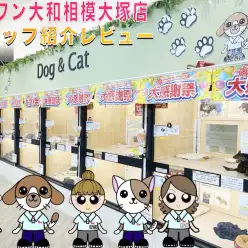 【 スタッフ紹介 】マルワン大和相模大塚店のスタッフはこんな人達です！