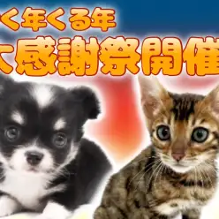 【 ゆく年くる年大感謝祭開催！ 】マルワンから素敵なニューイヤーに向けた贈り物！