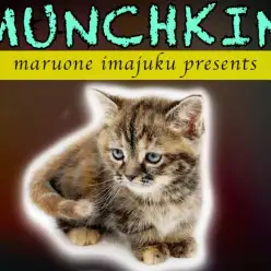 【 マンチカン 】短足で丸顔で大きなハートを背負ったおしゃれで甘えん坊な女の子！