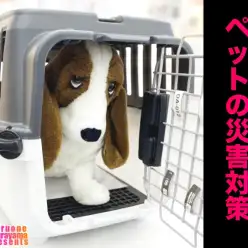 【 ペットの災害対策 】大事な家族を守るため万が一の備えは必要！災害時の準備！