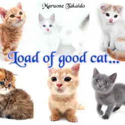 【 子猫をお迎えしたら 】コレでおりこうさんへの道が開けます～しつけ編～