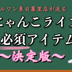 【 ビギナー必見 】お迎えに向けて準備するべきアイテム決定版！～にゃんこ編～