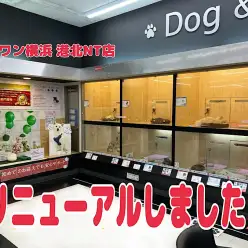 【 リニューアルオープン 】港北NT店がリニューアルオープンしました！