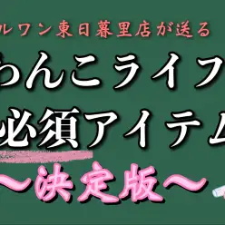 【 ビギナー必見 】お迎えに向けて準備するべきアイテム決定版！～わんこ編～