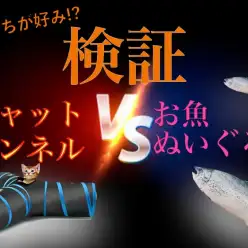 【 4/18大倉山店の日常 】キャットトンネルとお魚ぬいぐるみどっちが好き？