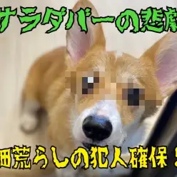 【 5/23サラダバーの悲劇 】畑荒らしが現れた！！！の巻