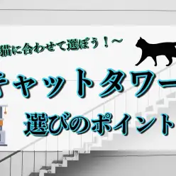 【 グッズ紹介 】運動不足やストレス解消に！キャットタワー選びのポイント