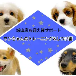【 城山店お迎え後サポート 】ワンちゃんのトレーニング＆しつけ編