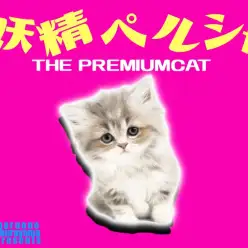 【 プレミアムペルシャ 】気品溢れるゴージャスな猫のお姫様！美しい毛色が圧巻！
