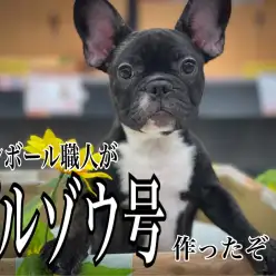 【 5/13俺の愛車 】ダンボール職人の工作タイム！ブルゾウ号作っちゃったの巻！