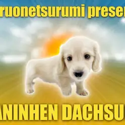【 カニヘンダックスフント 】大人気のイエローカラーの癒し系女子降臨!
