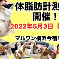 【 今宿店イベント情報 】5/3（火）ワンちゃんの体脂肪計測会のお知らせ！