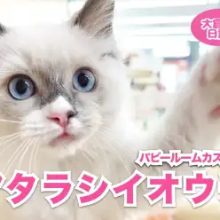 【 6/10 お部屋調査】新しいお家！ラグちゃん気に入ってくれたかな