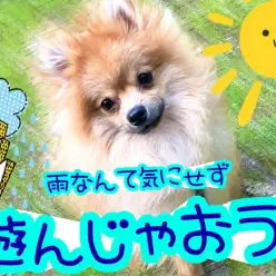 【 松島流ライフハック術 】雨時期を利用してトレーニングを始めちゃおう！