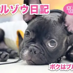 【 6/11 トレーニング 】オスワリマテは完璧だ蔵！の巻