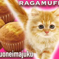 【 ラガマフィン 】レッドタビーのゴールドBODYが美しいマフィン系な女の子！