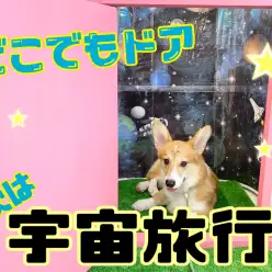 【 6/9 どこでもドアアップデート 】新しい旅先へ！！宇宙へ旅行しよう！