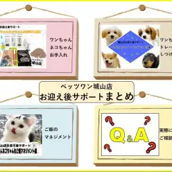 【 城山店お迎え後サポート 】サポートまとめ編