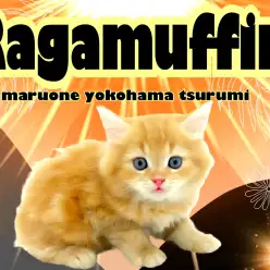 【 ラガマフィン 】幼いながらに王者の風格をもつベビーライオンキング!