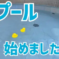 【 7/23プール開き 】ワンちゃんのプール始めました！の巻！