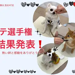 【 イベント情報 】熱い絆をありがとう！大好評マテ選手権大会、結果報告！