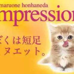 【 ミヌエット 】レッドカラーの元気玉！愛らしすぎてイチコロよ！