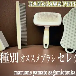 【 神奈川ペットライフ 】愛犬の手入れグッズの選び方！犬種別オススメブラシ紹介！